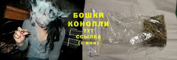 мяу мяу мука Гусь-Хрустальный
