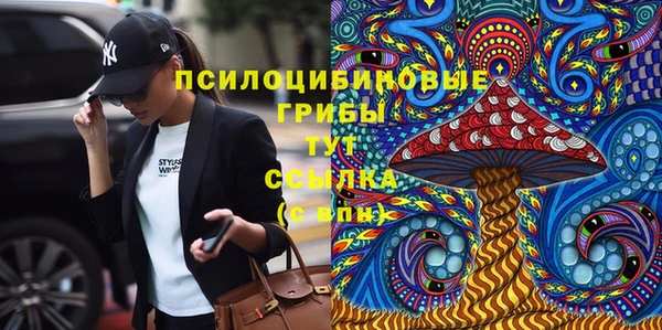 хмурый Гусиноозёрск