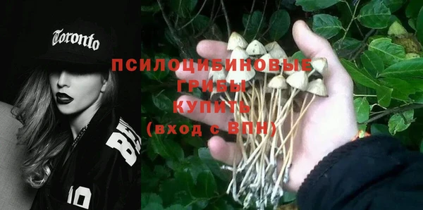 прущая мука Гусев