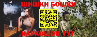 гидра Кингисепп