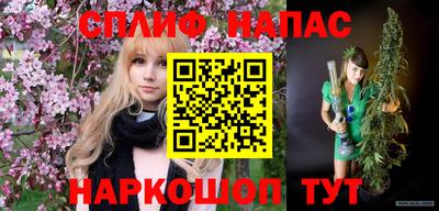 стафф Бийск