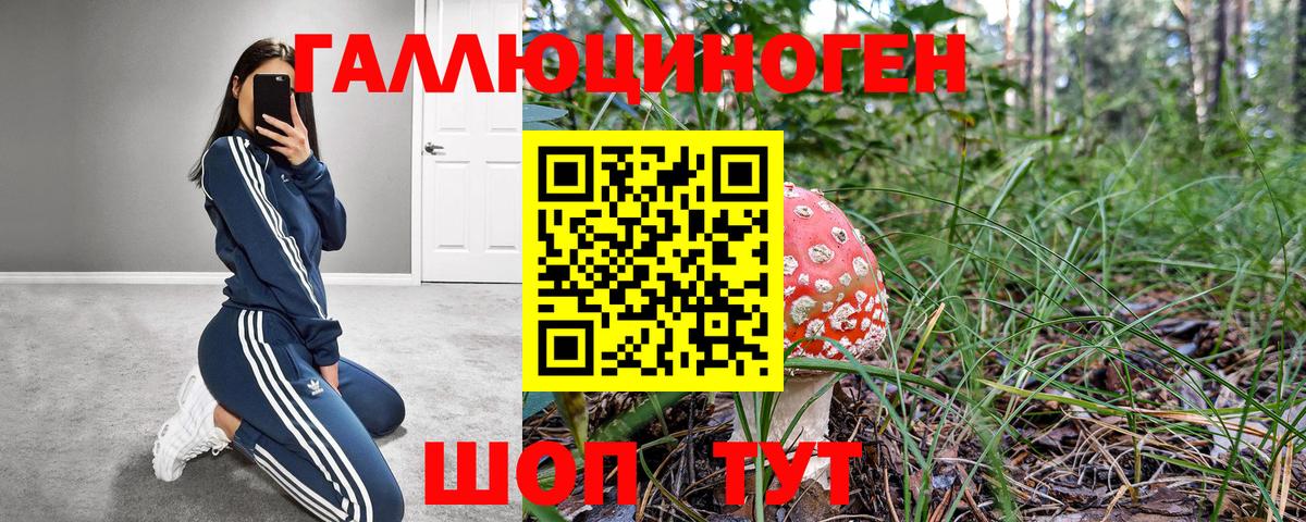 Дятьково  Галлюциногенные грибы GOLDEN TEACHER  Вход с VPN 