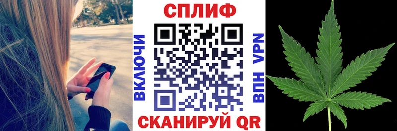 Каннабис сатива  магазин  наркотиков  Дятьково 