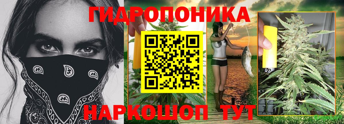 Каннабис ГИДРОПОН  Бошки марихуана конопля  Дятьково  Вход с VPN  Канабис OG Kush 